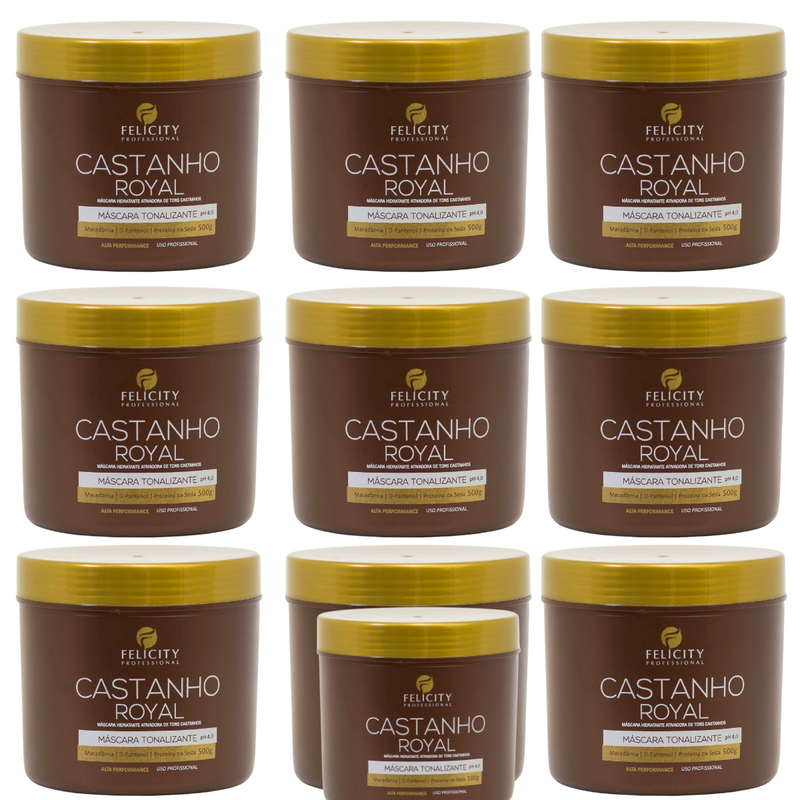 Kit Com 10 Mascara Tonalizante Castanho Royal Felicity 500gr