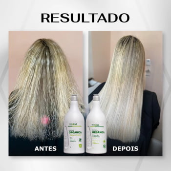 Kit Progressiva Escova Organica Onixx Brasil 2x1L