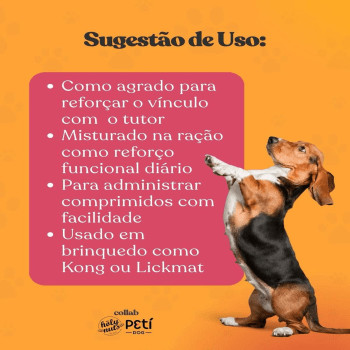 Pasta De Amendoim Canina Pote 300 G Peti Dog