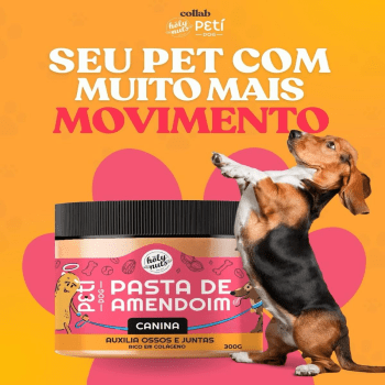 Pasta De Amendoim Canina Pote 300 G Peti Dog