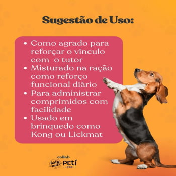 Pasta De Amendoim Canina Pote 300 G Peti Dog
