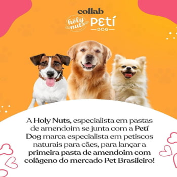 Pasta De Amendoim Canina Pote 300 G Peti Dog