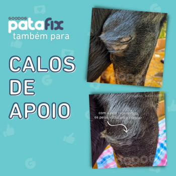 Patafix Balsamo Hidratante Pet 40 G Para Patas E Focinhos