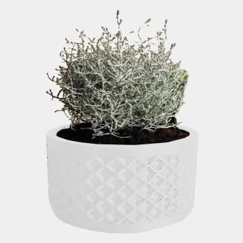 Vaso Pote Decoração & Lazer - Modelo Thousand