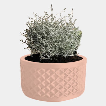 Vaso Pote Decoração & Lazer - Modelo Thousand